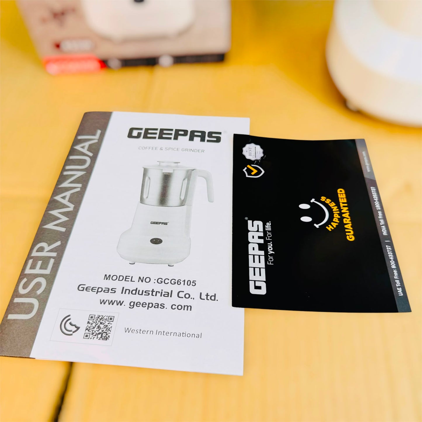 Geepas wet / dry 2 in 1 spice grinder