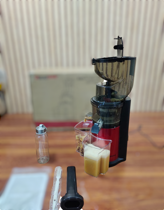 Lot imported slow juicer cold press juicer juicer extractor