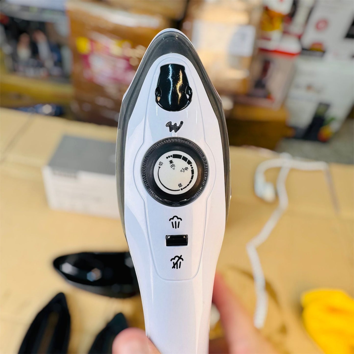 Handy German Steamer & Steam Iron